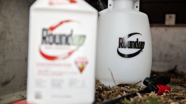 <p>
	<em>Снимка: Bloomberg L.P.</em></p>
