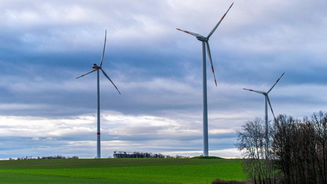 Снимка: Pixabay