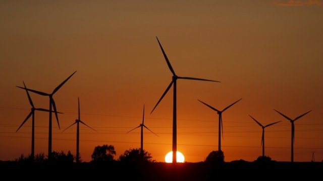 <p>
	Снимка: <em>Архив Ройтерс</em></p>
