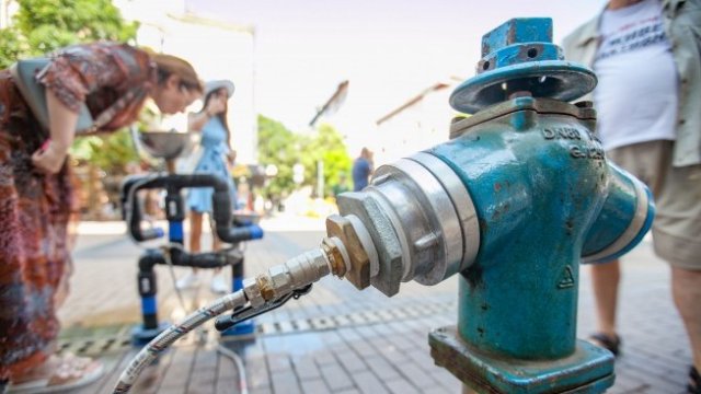 <p>
	<em font-size:="" pt="" style="color: rgb(102, 102, 102); font-family: ">Снимка: Димитър Кьосемарлиев, Investor Media Group</em></p>
