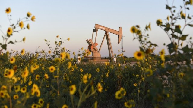 <p>
	<em>Снимка: Архив Ройтерс</em></p>
