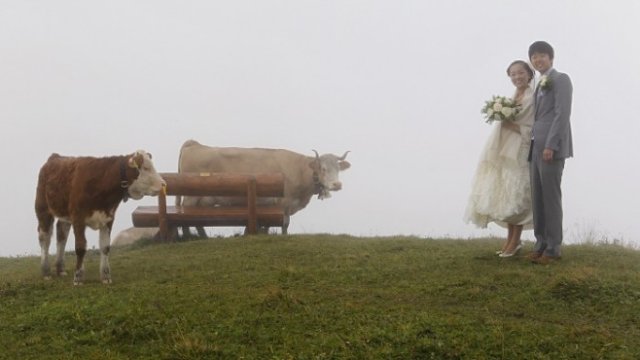 <p>
	Сватба на японски туристи в Швейцария. <em>Снимка: Архив Ройтерс</em></p>
