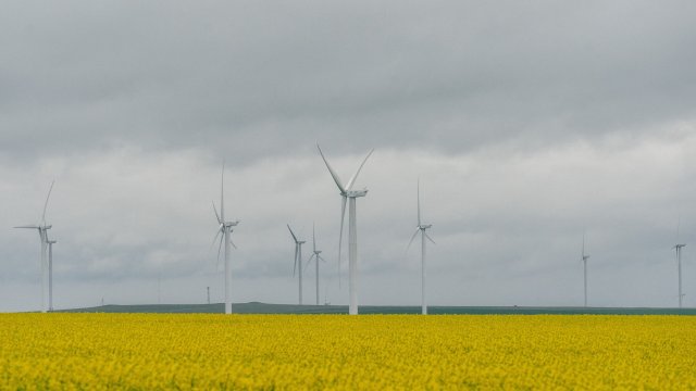 Снимка: Bloomberg L.P.