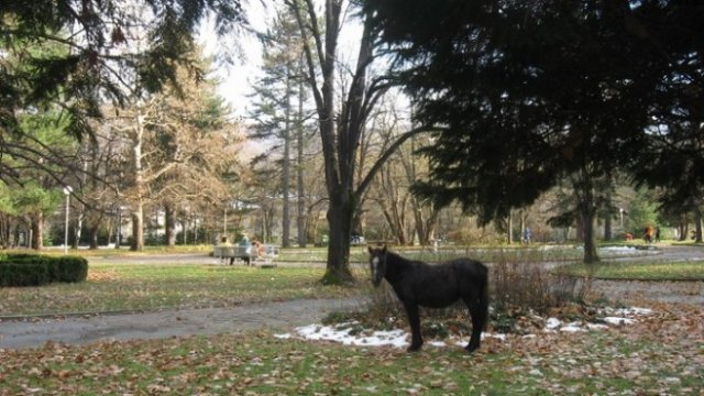 <p>
	<em>Снимка: община Вършец</em></p>
