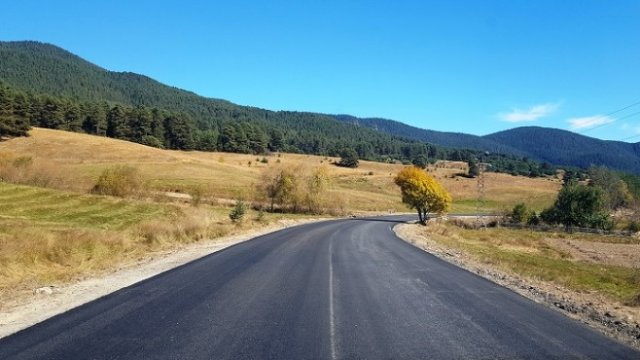 <p>
	<em>Снимка: АПИ</em></p>
