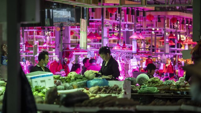 Снимка: Bloomberg L.P.