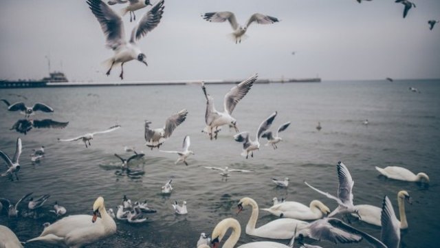 <p>
	<em font-size:="" pt="" style="color: rgb(102, 102, 102); font-family: ">Снимка:&nbsp;Patryk Sobczak/Unsplash</em></p>
<p>
	&nbsp;</p>
