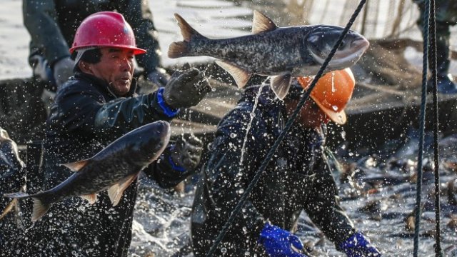 <p>
	<em>Снимка: Ройтерс</em></p>
