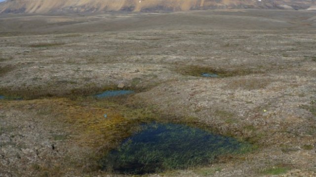 <p>
	<em>Снимка: Ройтерс</em></p>
