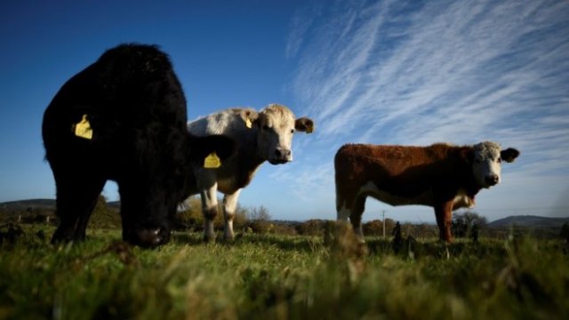 <p>
	<em>Снимка: Архив, Ройтерс</em></p>
