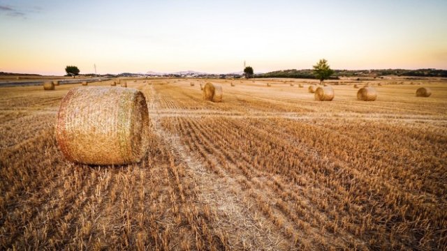 <p>
	<em>Снимка: Pixabay</em></p>
