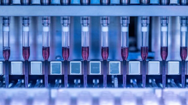 <p>
	<em>Снимка: Getty</em></p>
