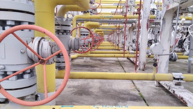 Снимка: Investor.bg