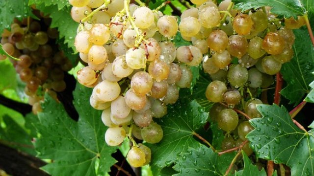 <p>
	<em>Снимка: Рixabay.jpg</em></p>
