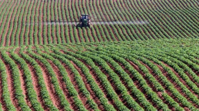 <p>
	Снимка: <em>Архив Ройтерс</em></p>
