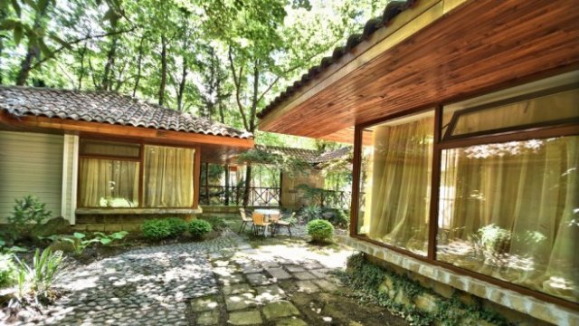 <p>
	<em>Вили Ропотамо. Снимка: forestbeach.bg</em></p>
