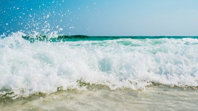 <p>
	<em>Снимка: Ройтерс</em></p>
