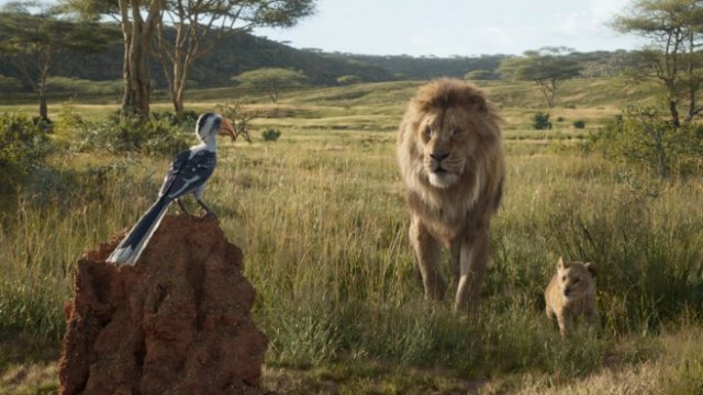 <p>
	Кадър от &quot;Цар Лъв&quot;. Снимка: The Walt Disney Company (Switzerland) GmbH</p>
