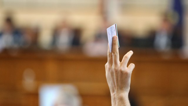 Снимка: Димитър Кьосемарлиев/Investor Media Group