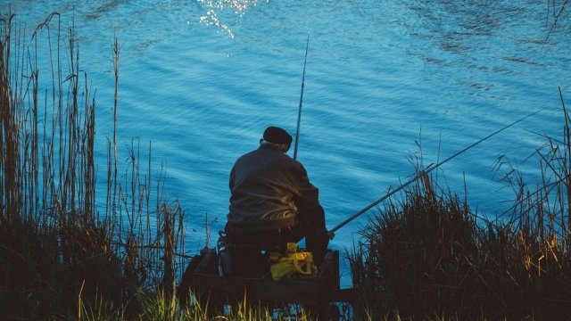 <p>
	<em>Снимка: Pixabay</em></p>
