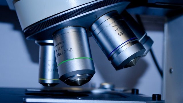 <p>
	<em>Снимка: Pixabay</em></p>
