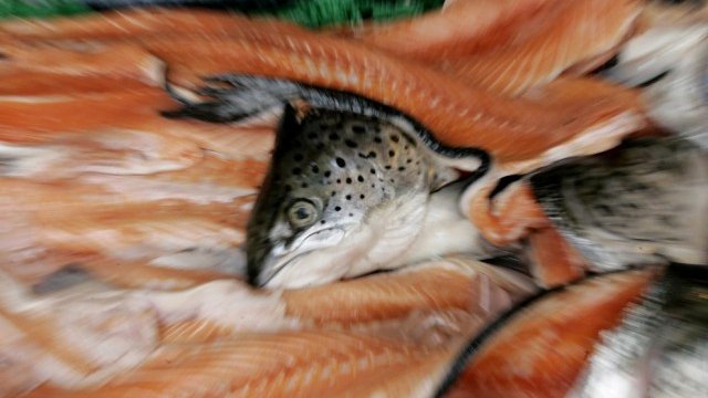 <p>
	Снимка: <em>Ройтерс</em></p>
