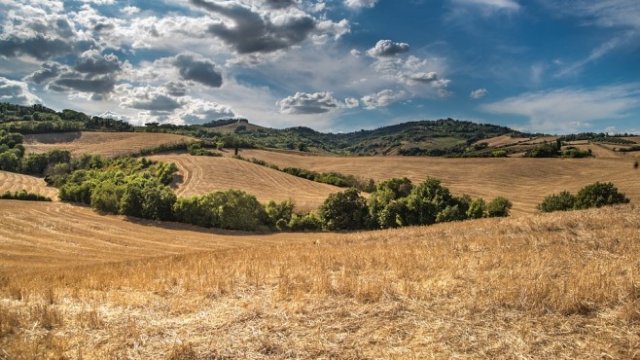 <p>
	<em>Снимка: Pixabay</em></p>
