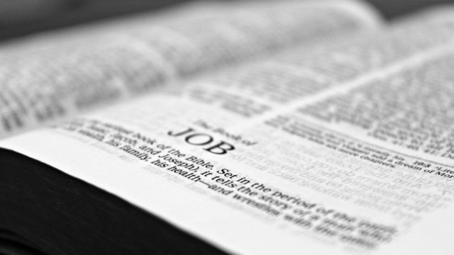 <p>
	<em>Снимка: Pixabay.com</em></p>
