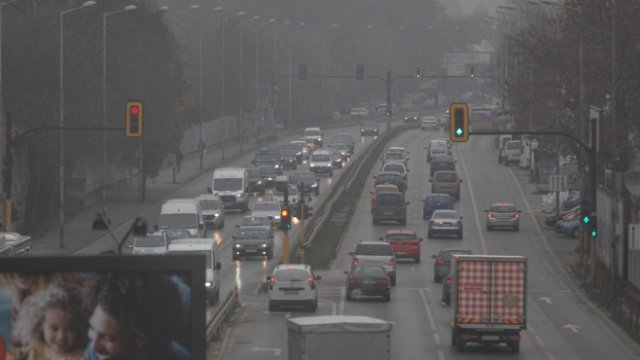 <p>
	<em>Снимка: Димитър Кьосемарлиев, Investor Media Group</em></p>
