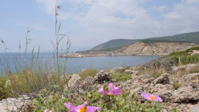 <p>
	Площадката за бъдещата АЕЦ &quot;Аккую&quot;.<em> Снимка: Akkuyu Nuclear</em></p>
