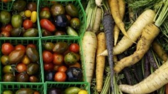 <p>
	<em>Снимка: Pixabay.com</em></p>
