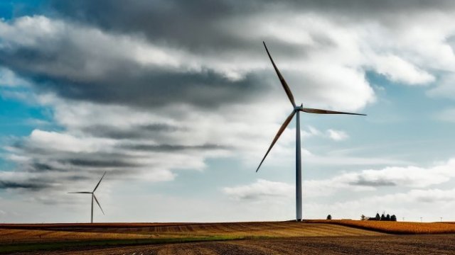 <p>
	<em>Снимка: Pixabay</em></p>
