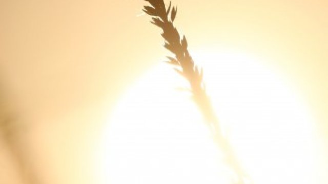 <p>
	<em>Снимка: Shannon VanRaes/Bloomberg</em></p>
