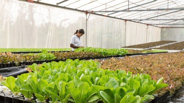 <p>
	<em>Снимка: Pixabay</em></p>
