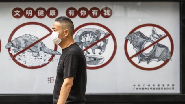 <p>
	Снимка: EPA/WU HONG</p>
