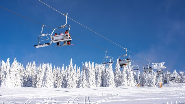 Снимка: freepik