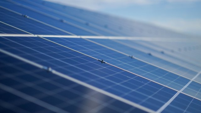 Снимка: Bloomberg L.P.