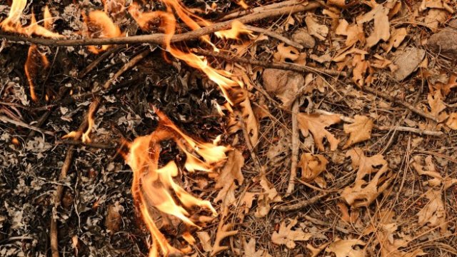 <p>
	<em>Снимка: Bloomberg</em></p>
