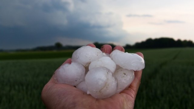 <p>
	<em>Снимка: Pixabay</em></p>
