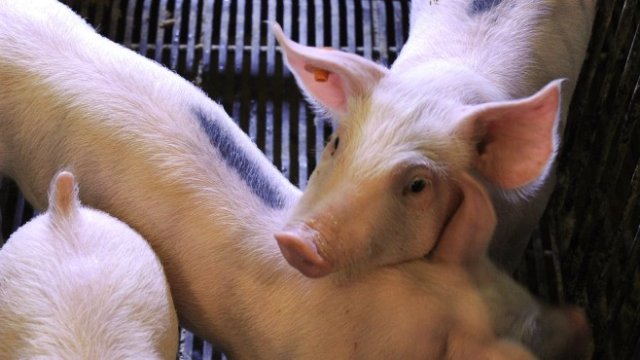 <p>
	<em>Снимка: Ройтерс</em></p>
