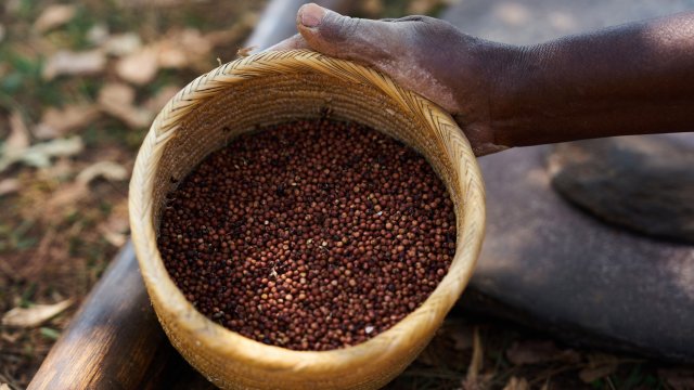 Снимка: Bloomberg L.P.