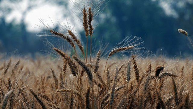 Снимка: Bloomberg LP