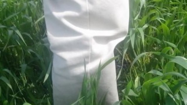 <p>
	<em>Снимка: Pixabay</em></p>
