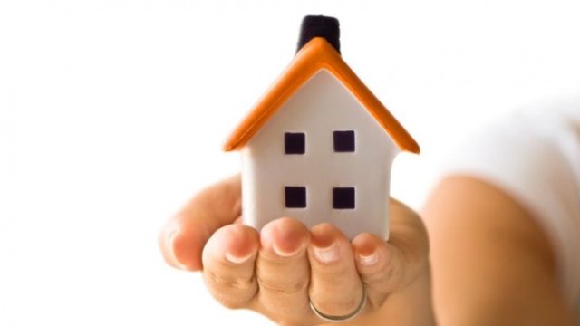 <p>
	<em>Снимка: FreeImages.com</em></p>
