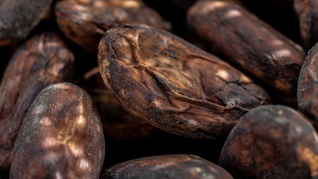 Снимка: Dado Galdieri/Bloomberg