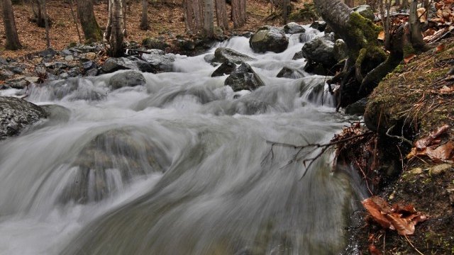 <p>
	<em>Снимка: Олег Попов, Investor Media Group</em></p>
