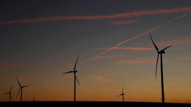 <p>
	<em>Снимка: Архив Ройтерс</em></p>
