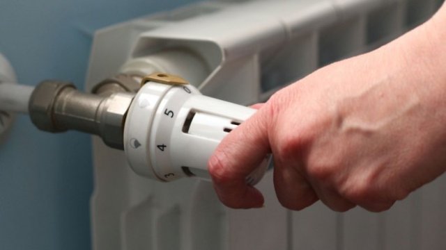 <p>
	<em>Снимка: БГНЕС</em></p>
