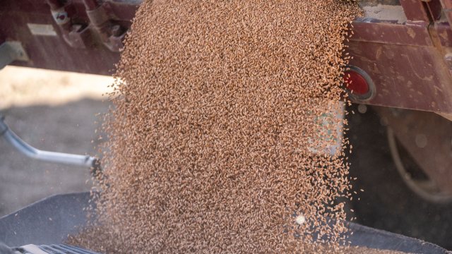 Снимка: Heywood Yu/Bloomberg 