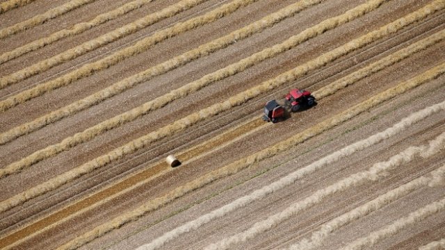 <p>
	<em>Снимка: Архив Ройтерс</em></p>
